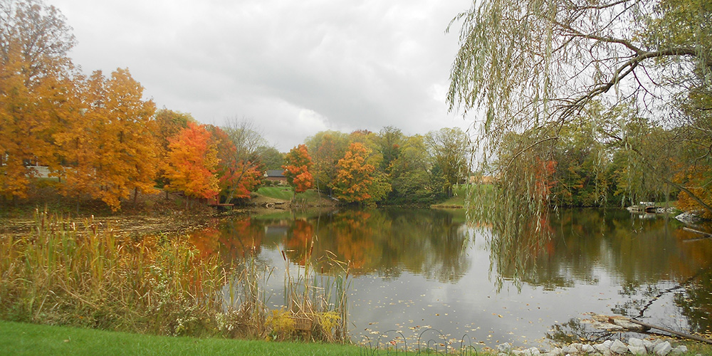 Pond photo